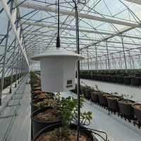 Serre agricole multi-chapelles Sinok avec systèmes de contrôle intelligent et de culture hors-sol pour légumes et tomates