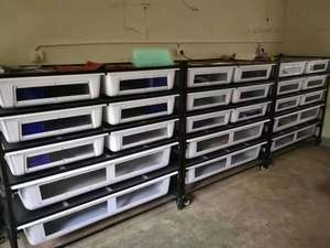 Vente en gros présentoirs pour reptiles élevage horizontal serpent reptiles rack en alliage d'aluminium élevage rack serpents reptiles - Product Image 3