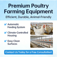 Équipement moderne pour poulaillers, cage d'élevage automatique à plusieurs niveaux pour poussins, pour grande ferme d'élevage avicole commercial