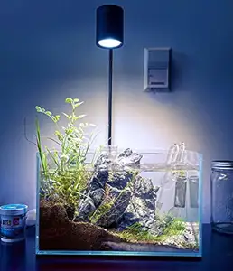 Lampu akuarium tinggi LED 15W, lampu sorot Cob spektrum penuh untuk tangki Nano/Paludarium/Wabikusa