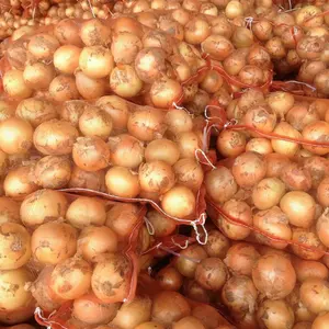 2023 New Crop Of Fresh Onions And Garlic Red And Yellow Onion White Price Per Ton In China Chinese Onion Fresh For Sale