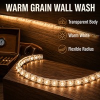 Bande lumineuse LED flexible 2010 pour façade de bâtiment et projets paysagers, éclairage linéaire haute puissance