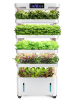 Système de culture hydroponique vertical pour légumes avec pompe, facile à utiliser, garantie 1 an
