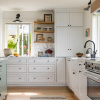 Meubles de cuisine modulaires haut de gamme en panneaux de particules, écologiques et personnalisables pour hôpitaux et villas, charnières incluses
