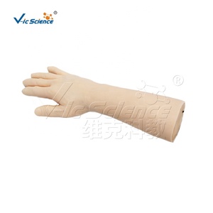 Modelo Avanzado de Venopunción Electrónica, Maniquí Inteligente para Práctica de Punción IV para Enfermeras - Product Image 6