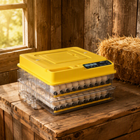 WONEGG TW-72 Nouvelle couveuse à œufs de poulet de haute qualité alimentée par batterie 220V avec retournement automatique des œufs en plastique