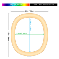 Lumière annulaire LED ronde de 10 pouces avec support de bureau, 3 couleurs réglables pour selfie, enregistrement vidéo, réunions Zoom