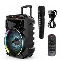 Enceinte trolley avec roues, lumière RGB effet flamme, Bluetooth sans fil, pour karaoké, idéale pour l'extérieur et la maison, lecteur audio KTV, micro intégré, radio FM