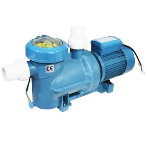 High pressure electric variable speed motor for swimming/spa pool water pump