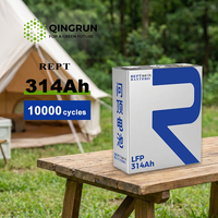 خلية REPT 314Ah 3.2V LiFePO4 منشورية عميقة الدورة، 10 آلاف دورة حياة، لنظام تخزين الطاقة الخارجي وتشغيل المزودات الكهربائية الاحتياطية -30-60