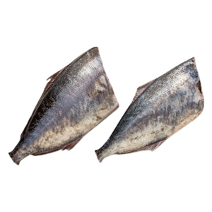 Premium Frozen Warehou Fish Wild Caught Ocean Harvest Suministro sostenible de mariscos para exportación Distribución al por mayor - Product Image 6