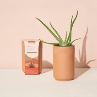 Kit de plantation monobloc en céramique pour herbes, fleurs et succulentes, design champêtre, pour l'exportation