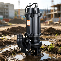 220V Edelstahl-Tauchpumpe 5PS für Keller-Abwassertank, Hausgebrauch, OEM, automatischer Zerkleinerer, Bewässerung, Hochdruck