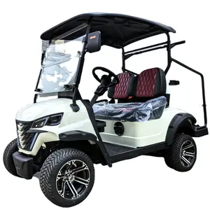 Anpassbar hot-seller 72 v lithium-batterie 2-sitzer golfwagen mit balltaschenhalter