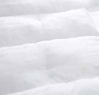 Couverture de matelas Extra épaisse, oreiller en peluche, surmatelas