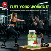 Gummies de créatine monohydrate à absorption élevée, saveur pastèque, 60 unités, pour la force et l'endurance musculaire, personnalisables (OEM, marque privée)
