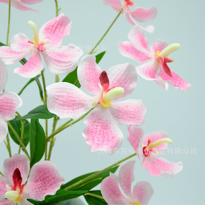 Orquídea Vanda Artificial de Dongchen Crafts, Flor de Seda con 5 Cabezas, Tallo Único de 30cm-100cm, Decoración para Bodas y Hogar - Product Image 2