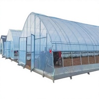 Systèmes de culture hydroponique agricole pour légumes et tomates, grande serre familiale à simple travée en film PE transparent
