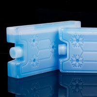 Glacière réutilisable de 120ml en brique de glace pour les activités de plein air