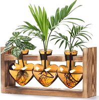 TGYW Station de propagation de plantes en bois en gros, 3 tubes en verre en forme de cœur, design moderne, pour usage intérieur, kit de propagation pour terrarium domestique