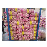 Ail frais de la meilleure qualité, meilleur prix, approvisionnement direct, ail blanc, ail rouge normal, ail chinois, prix bas, stock frais en vrac