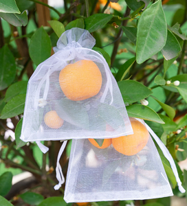 Petits sacs en filet anti-insectes de jardin barrière de protection en nylon pour fruits raisin figue fleur graines de légumes couverture de légumes de jardin - Product Image 4