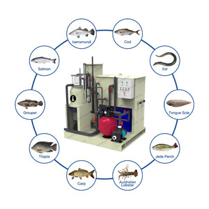 Alta tecnología 5-20m3/H Sistema integrado Equipo de acuicultura Sistema Ras interior para piscicultura Agricultura - Product Image 1