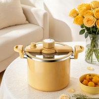 Casserole à soupe grande capacité en émail de fer de 24 cm, compatible induction, écologique, marque privée, cuisson rapide sous micro-pression