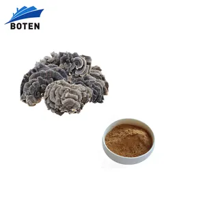 Coriolus Versicolor Chiết Xuất Polysaccharide Krestin PSK 50% UV