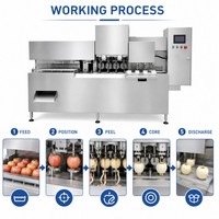 Commerciële fruit schilmachine, snijmachine en ontpitter, appel schiller, ontpitter, snijmachine voor voedingsfabrieken