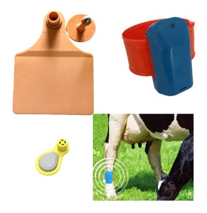 Nouvelles étiquettes d'oreille en plastique colorées personnalisées <span class=keywords><strong>YUSTON</strong></span> - Étiquettes d'identification du bétail gravées au laser pour bovins, moutons, porcs - Product Image 6