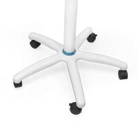 Lampe de blanchiment dentaire portable professionnelle à LED, appareil de blanchiment des dents, lumière de blanchiment des dents