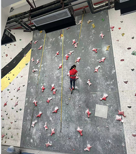 Bán Buôn trong nhà và ngoài trời Rock Leo Tường nhự<span class=keywords><strong>a</strong></span> giữ cho Leo Tường - Product Image 6