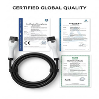 Câble de recharge rapide pour véhicules électriques, fournisseur OEM, protection IP65, avec fonction Plug and Play pour l'infrastructure de recharge en Asie du Sud-Est