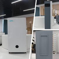 Batterie murale LiFePO4 de 5 à 10 kWh pour stockage solaire domestique, avec BMS intégré pour système solaire hybride hors réseau résidentiel