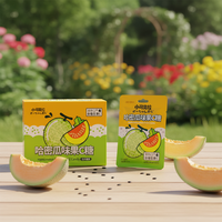 Bonbons compressés sans sucre à la vitamine C, saveur menthe et melon Hami, emballage exquis, fabrication chinoise sur mesure, pour les voyages