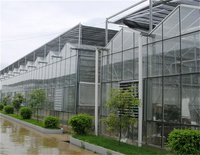 Serre agricole multi-travées de type Venlo commercial de haute qualité Maison verte en verre de grande taille à vendre