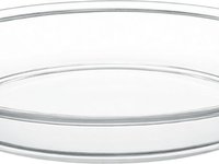 Plat à four en verre ovale, robuste et durable, peut être lavé au lave-vaisselle, idéal pour le tiramisu, les fruits et les desserts