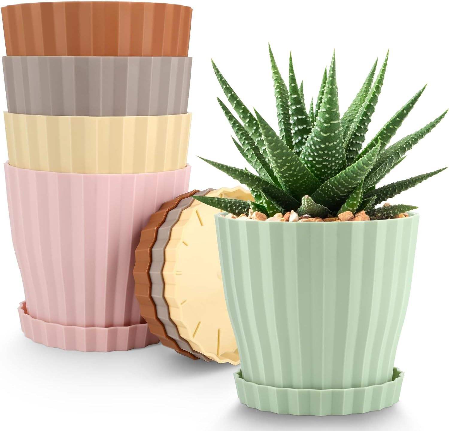 5 pièces emballées dans des cartons individuels