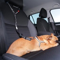 Laisse de chien réglable 2-en-1 SinSky avec ceinture de sécurité pour voiture, en nylon personnalisé, amortisseur pour petits et grands chiens, laisse élastique solide
