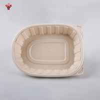 En stock, boîte à poulet rôti en bagasse biodégradable et écologique avec couvercle en plastique transparent, boîte d'emballage jetable pour poulet frit