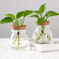 Pot hydroponique en verre transparent avec couvercle en liège, vase de propagation de plantes pour la maison, le bureau, la décoration de mariage