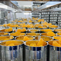 Geconserveerde sinaasappelkorrels 850g 3kg 18kg 27kg Citrusvruchtenpulp Commerciële ingrediënten voor bakkerijen en theewinkels