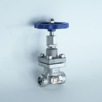Vanne à globe cryogénique à connexion par soudure à tige courte DJ-15G, prix usine, pour réservoir de stockage