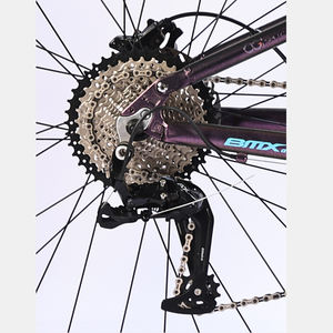 <span class=keywords><strong>Bicicleta</strong></span> de Montaña de Diseño Nuevo con Suspensión Completa de 11 Velocidades, <span class=keywords><strong>Cuadro</strong></span> de Aleación de Aluminio de Alta Calidad de <span class=keywords><strong>29</strong></span> Pulgadas, Piezas de <span class=keywords><strong>Bicicleta</strong></span> para Adultos - Product Image 2