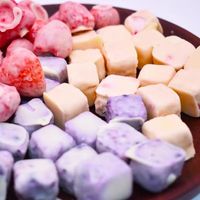 Zhongbao Gedroogde Zoete Bulk Promotionele Gezonde FD Yoghurtblokjes Fruit Aardbei Blauwe Bes Klaar om te eten Gemaakt in China