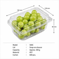 500C Transparante, ademende, wegwerpbaar, aanpasbare scharnierende clamshell PET-verpakking, 500g capaciteit voor vers fruit