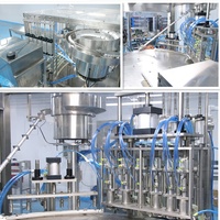Sachets à bec verseur debout pour boissons Machines de remplissage et de capsulage Sauce pour détergent à lessive liquide Machine à emballer automatique pour sacs préfabriqués