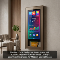 Écran LCD de 3,99 pouces, module d'écran TFT vertical 400x960, interface double RGB MIPI, IPS Full View, surface AG, rétroéclairage LED