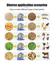Ligne de production de granulés d'aliments pour animaux à haute efficacité 4 T/H, usine de traitement des aliments en acier inoxydable, solution tout-en-un pour l'alimentation du bétail